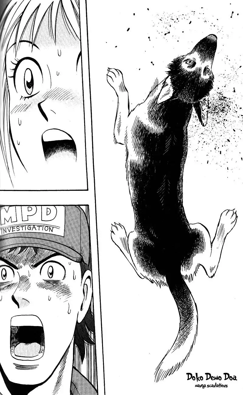 Animal Sense Chapter 13 20